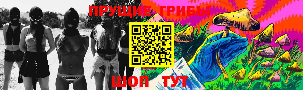 купить  сайты  Псилоцибиновые грибы прущие грибы  Вход с VPN  Александров 